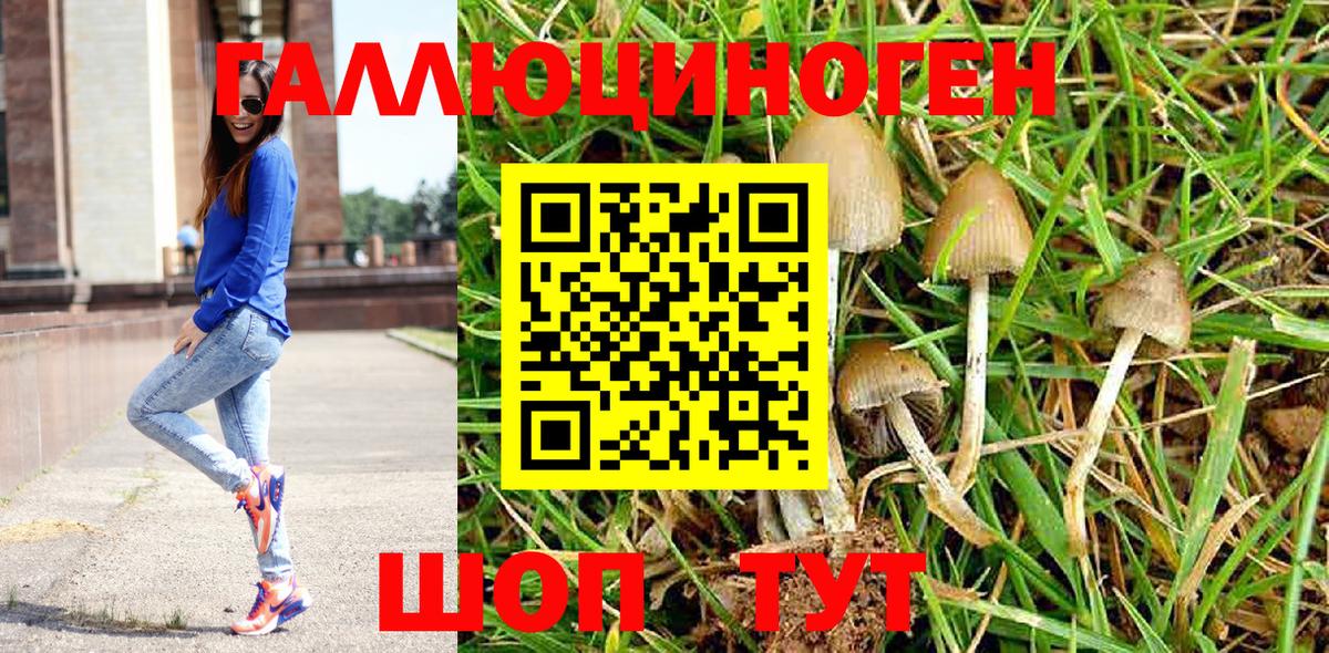 Галлюциногенные грибы MAGIC MUSHROOMS  Галлюциногенные грибы мухоморы  Вход с VPN  Щёлково 